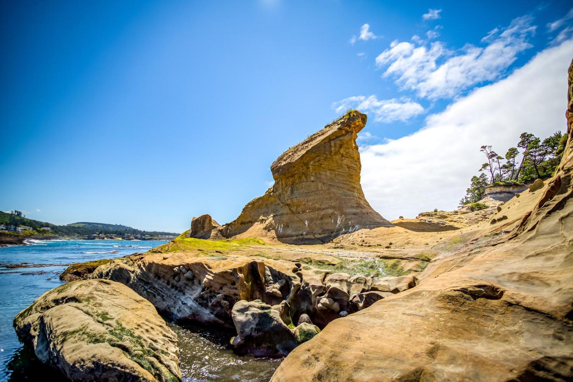 Whale'S Paradise Depoe Bay Εξωτερικό φωτογραφία