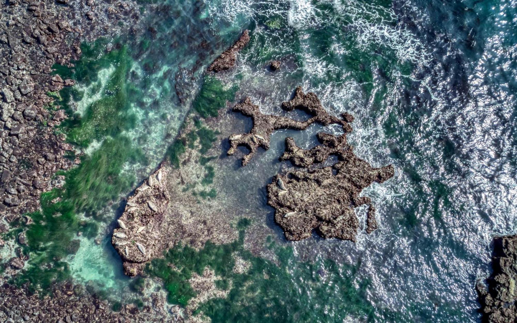 Whale'S Paradise Depoe Bay Εξωτερικό φωτογραφία